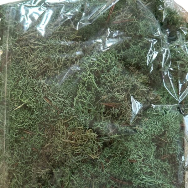 Preserved bag Icelandic moss green - Image 3
