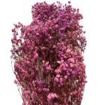 Preserved Lavender Gypsophila