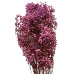 Preserved Lavender Gypsophila - Image 2
