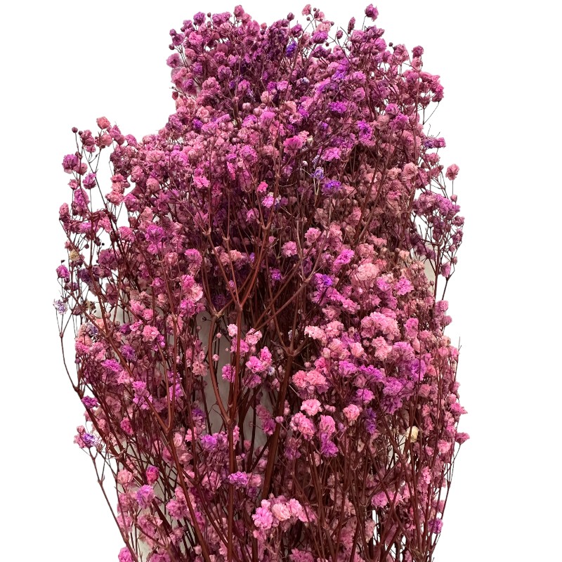 Preserved Lavender Gypsophila
