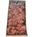 Preserved box Finnish light pink - Image 2