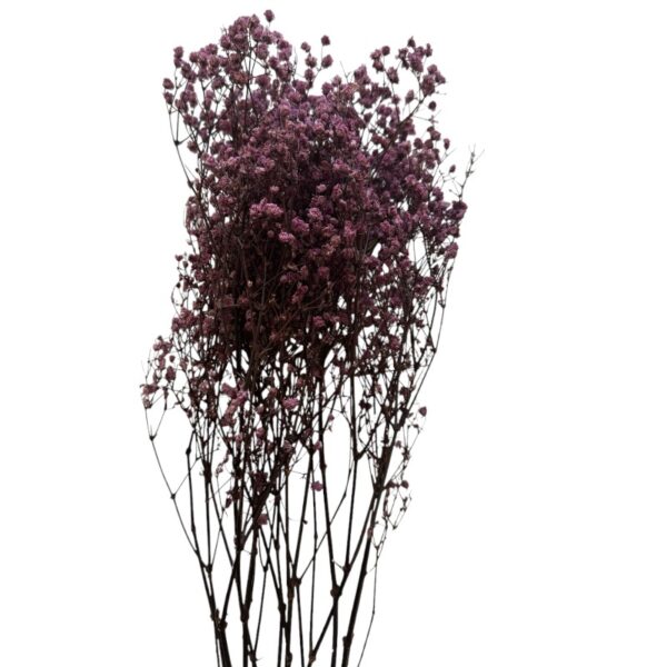 Preserved lilac Gypsophila - Image 2