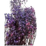 Preserved lilac/pink Gypsophila - Image 2
