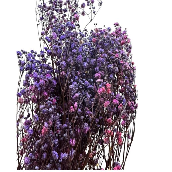 Preserved lilac/pink Gypsophila - Image 2