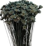 Dry mini Marcela blue