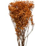 Preserved orange Gypsophila - Image 2