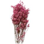Preserved pink Gypsophila - Image 2