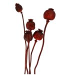 Dry Poppy pods red - Image 2