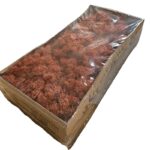Preserved box Finnish terracotta - Image 2