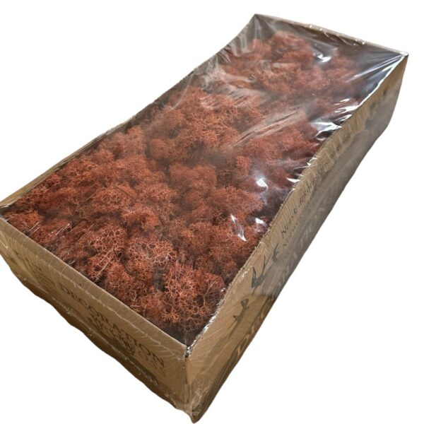 Preserved box Finnish terracotta - Image 2