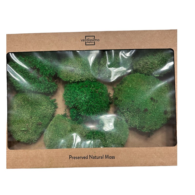 Preserved moss ball Verdissimo