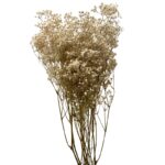 Preserved white Gypsophila - Image 2