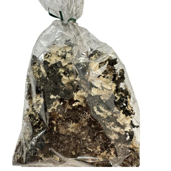 Dry black lichen moss - Image 7