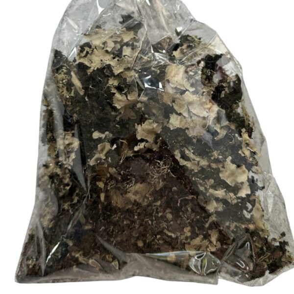 Dry black lichen moss - Image 6