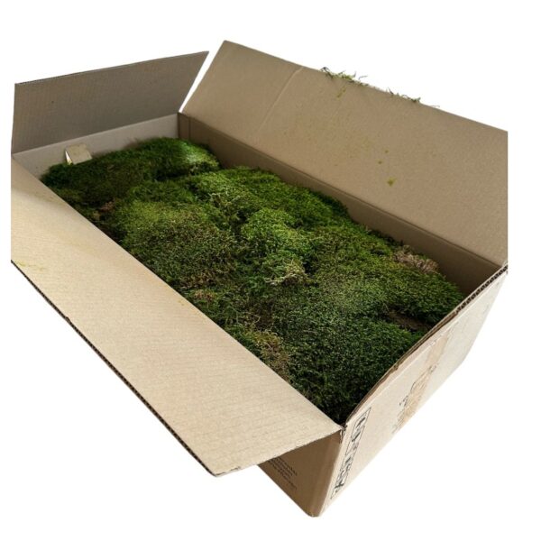 Verdissimo flat moss 2.5kg - Image 5