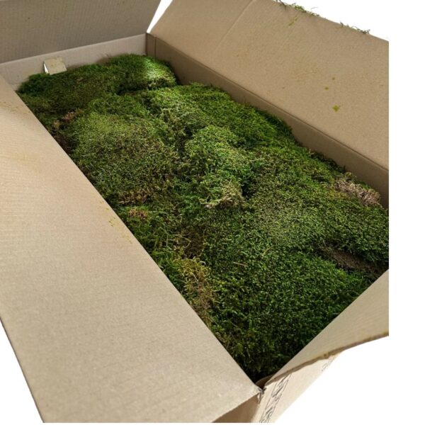Verdissimo flat moss 2.5kg