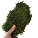 Verdissimo flat moss 2.5kg - Image 3
