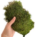 Verdissimo flat moss 2.5kg - Image 2