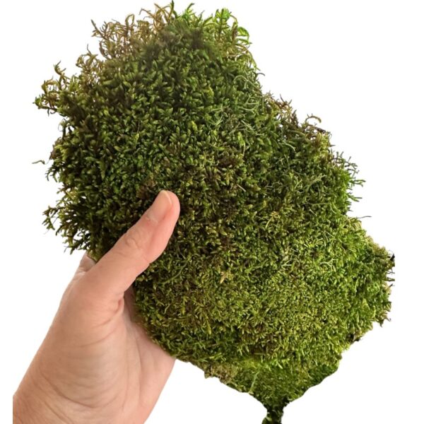 Verdissimo flat moss 2.5kg - Image 2