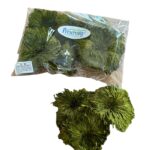 Preserved club moss - Image 2
