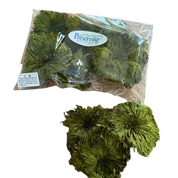 Preserved club moss - Image 2