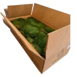 CANOPY flat bulk 3kg - Image 4