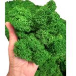 Reinder moss natural-green 5kg - Image 5