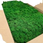 Reinder moss natural-green 5kg - Image 4