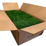 Reinder moss natural-green 5kg