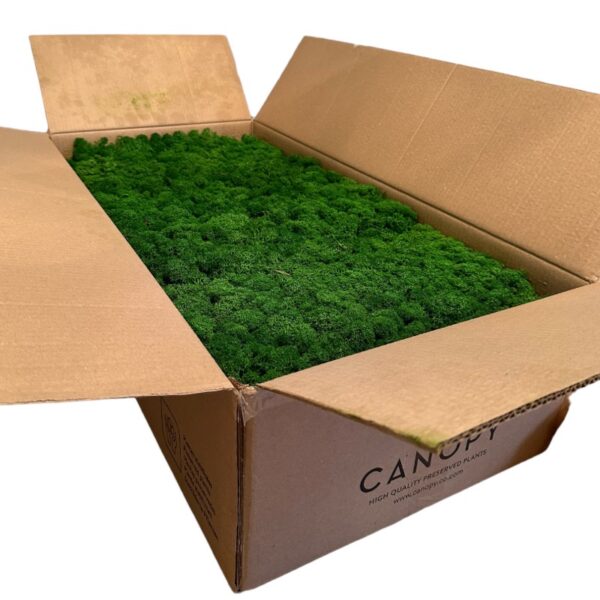 Reinder moss natural-green 5kg