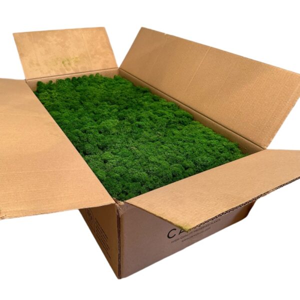 Reinder moss natural-green 5kg - Image 2