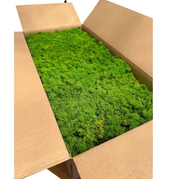 Reinder moss pistachio 5kg