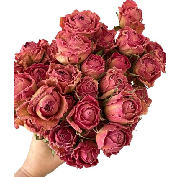 Dry rose pink - Image 4