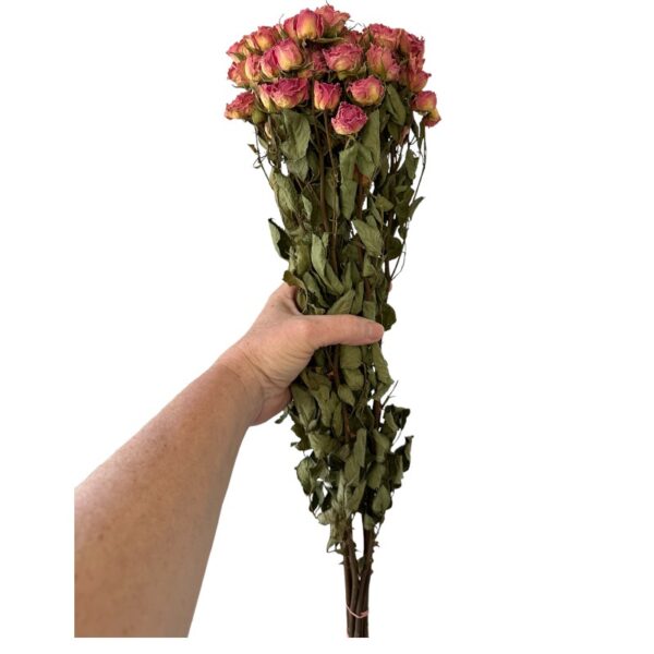 Dry rose pink