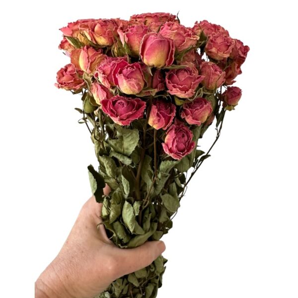 Dry rose pink - Image 2