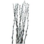 Preserved Salix snow flake - Image 4