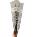 Preserved Salix snow flake - Image 3
