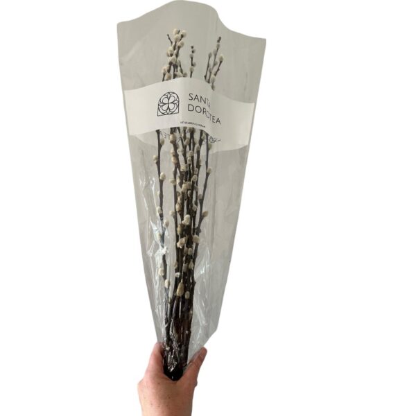 Preserved Salix snow flake - Image 3