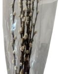 Preserved Salix snow flake