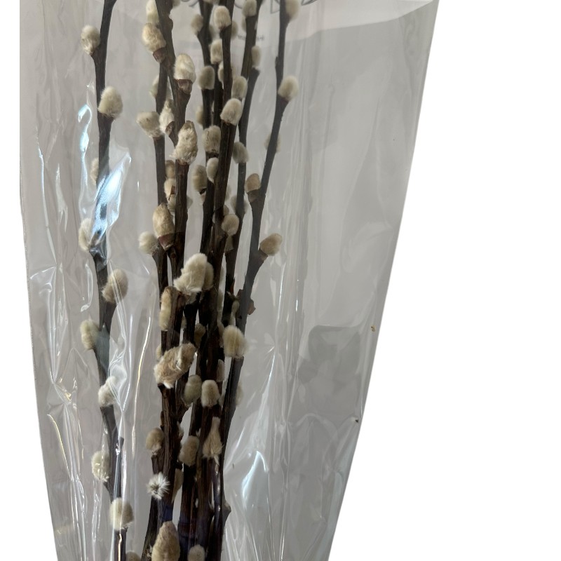 Preserved Salix snow flake
