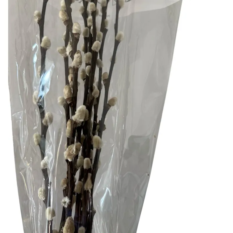 Preserved Salix snow flake