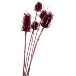 Dry fuchsia Chardon - Image 3