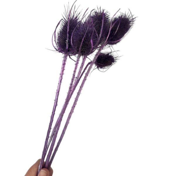 Dry lilac Chardon - Image 2