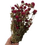 Dry purple Gomphrena - Image 5