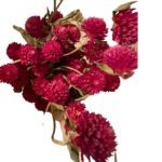 Dry purple Gomphrena - Image 3