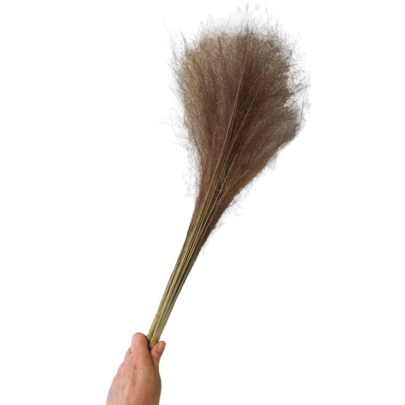 Dry grass
