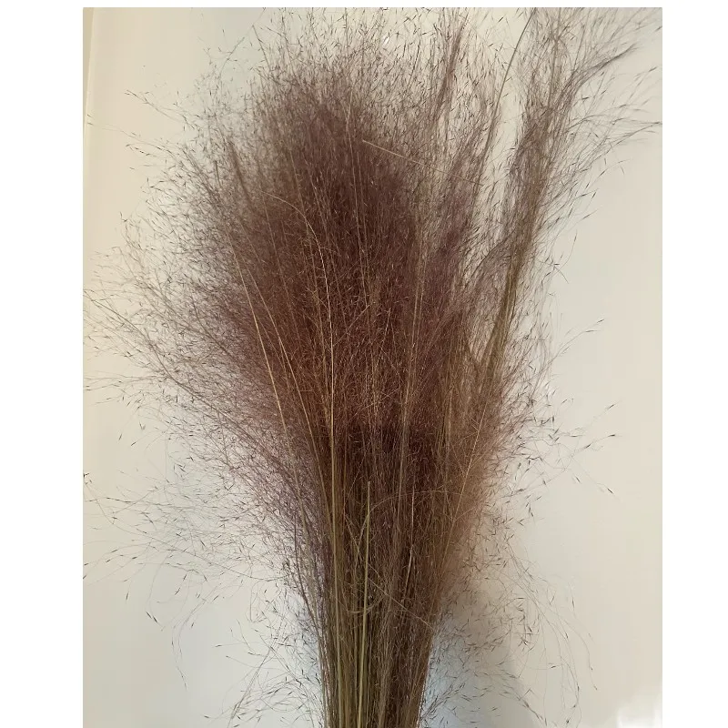 Dry grass - Image 3