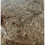 Preserved Spanish moss grey