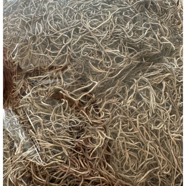 Preserved Spanish moss grey