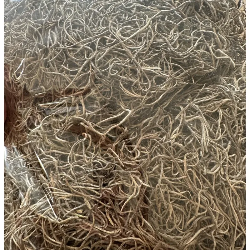 Preserved Spanish moss grey
